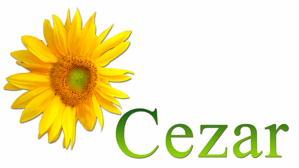 image-1024x577 Dzień Naturysty 2025 – już 7 czerwca!