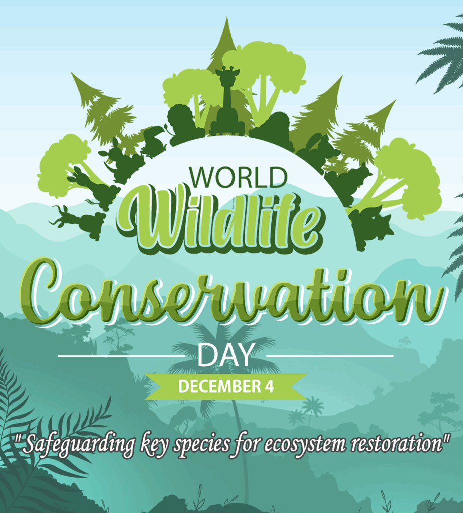 🌿 World Wildlife Conservation Day 2